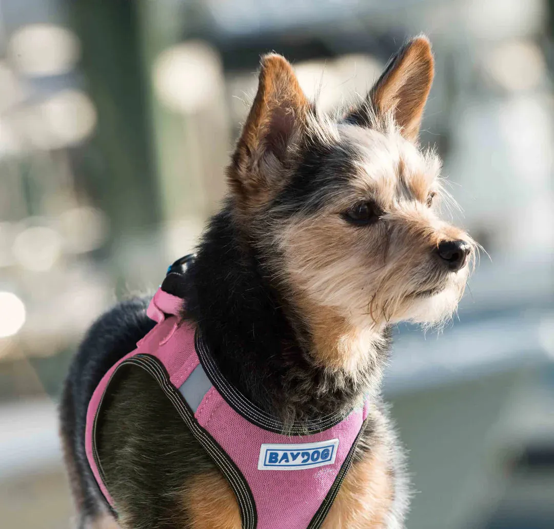 Bay Dog Liberty Bay Dog Harness