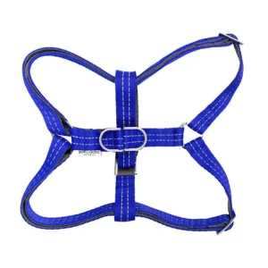 Bowl and Bone Active Blue Dog Harness