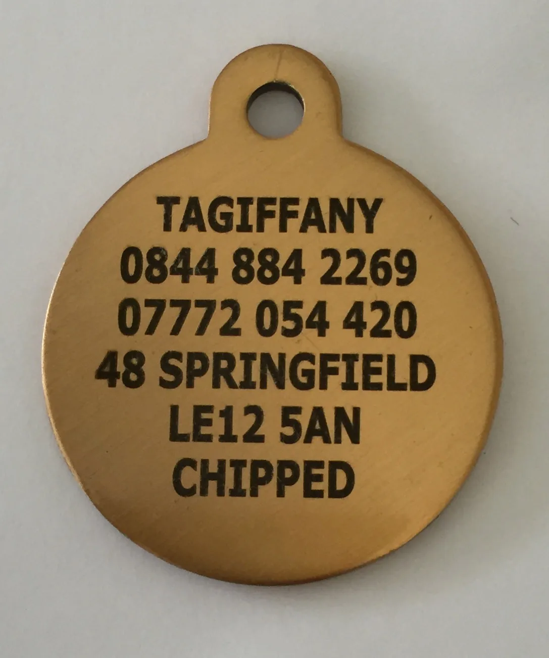 Chunky Brass Hooped Designer Dog Tag