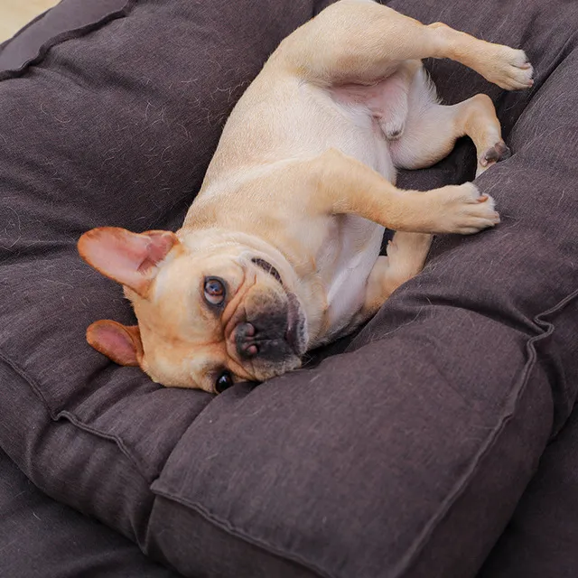 Dog Pillow Bed