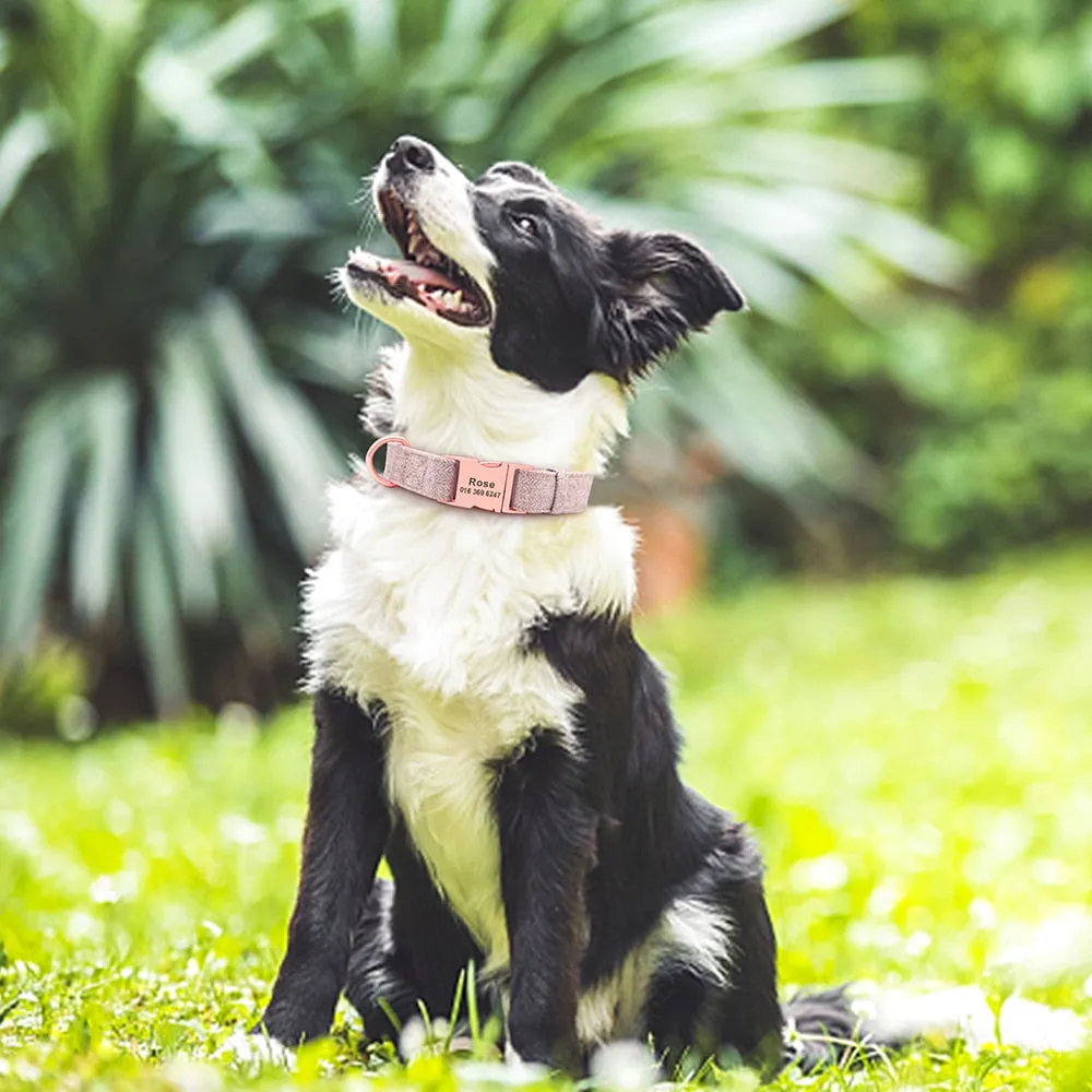 English Breakfast Custom Collar