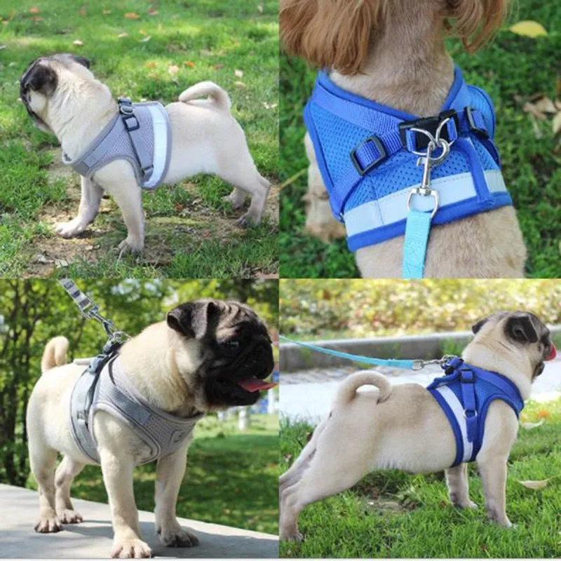 Everyday Reflective Harness - Small Dogs (No Pull)