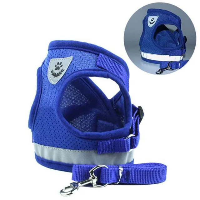 Everyday Reflective Harness - Small Dogs (No Pull)