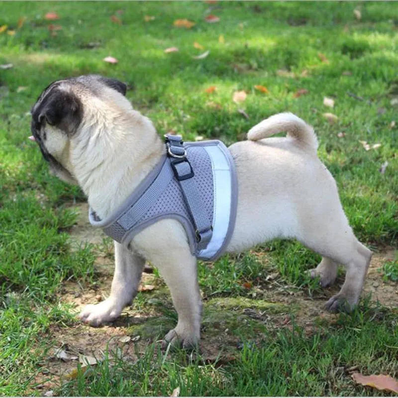 Everyday Reflective Harness - Small Dogs (No Pull)