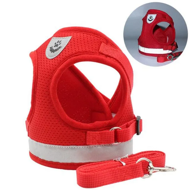 Everyday Reflective Harness - Small Dogs (No Pull)