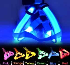 LED Glow in the Dark Harness (No-Pull)