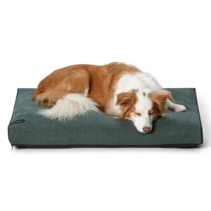 Modern Dog Daybed