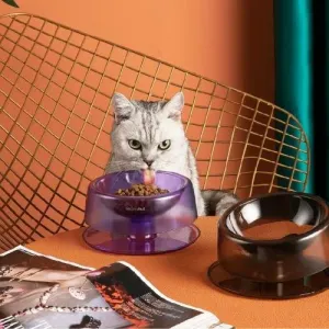 Multi-Angle Futuristic Pet Bowl