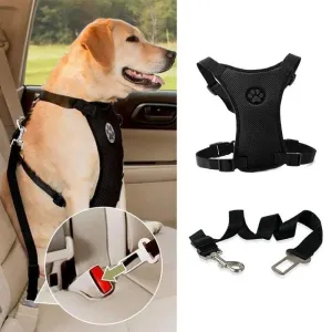 NEW Breathable Mesh Dog Harness Leash