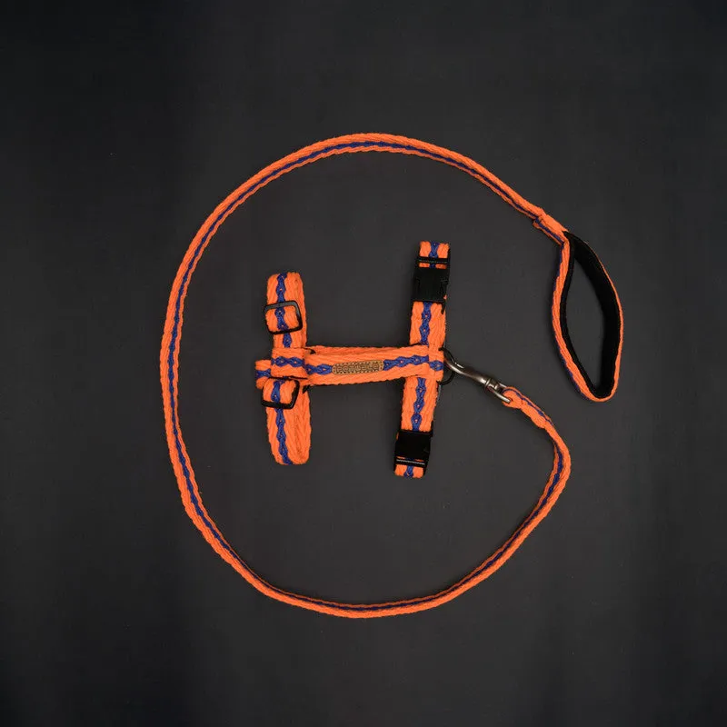 Orange with Blue Cotton H-Harness and Leash with Padded Handle