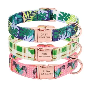 Personalized Colour Burst Custom Collar