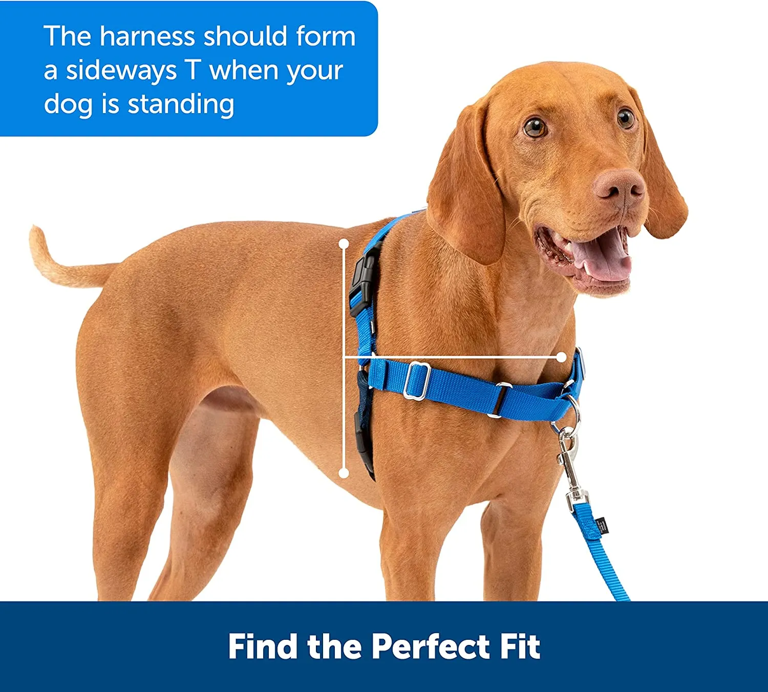 PetSafe - Easy Walk No Pull Harness for Dogs (Small)