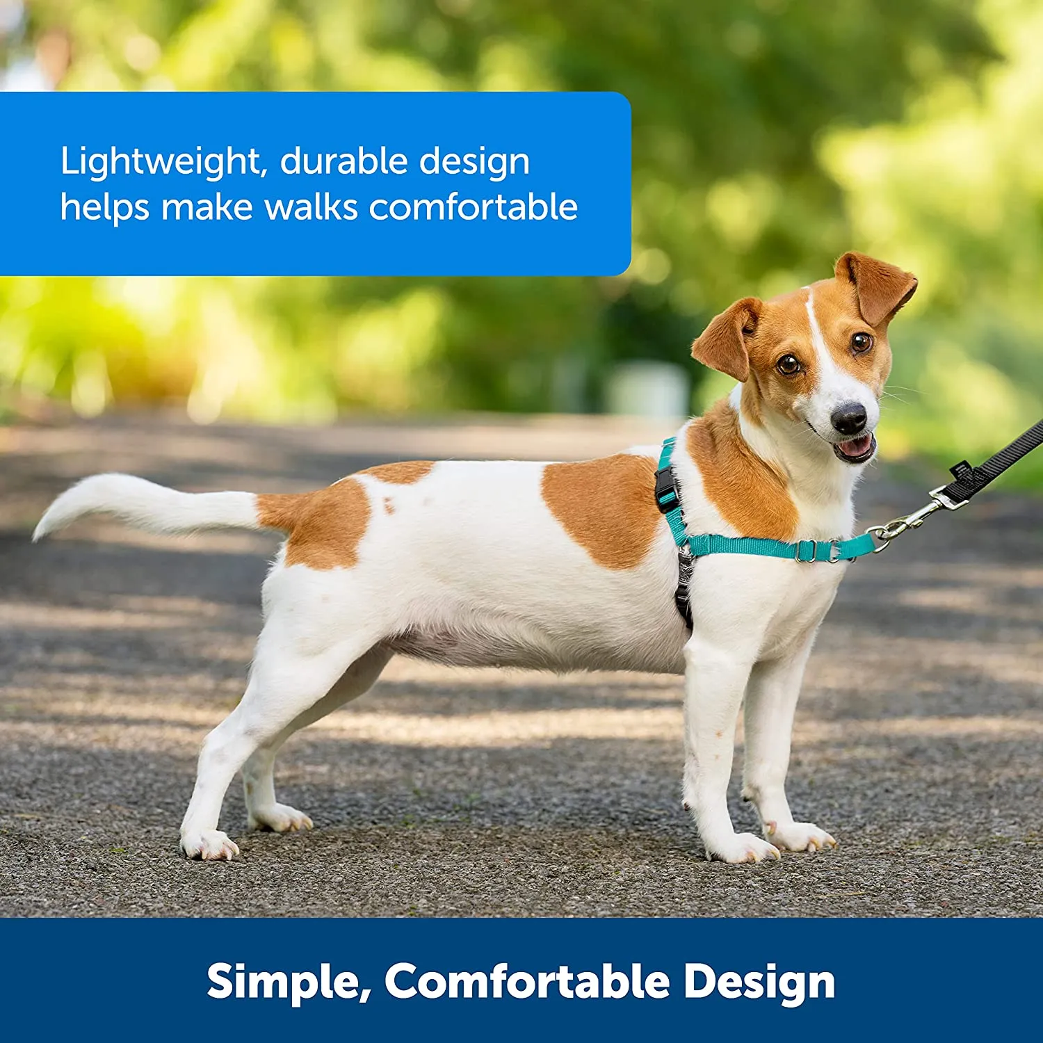 PetSafe - Easy Walk No Pull Harness for Dogs (Small)