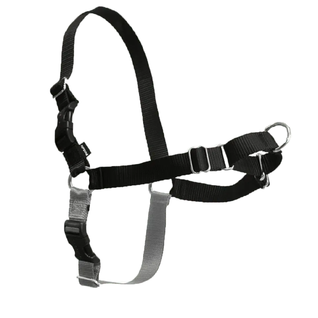 PetSafe - Easy Walk No Pull Harness for Dogs (Small)