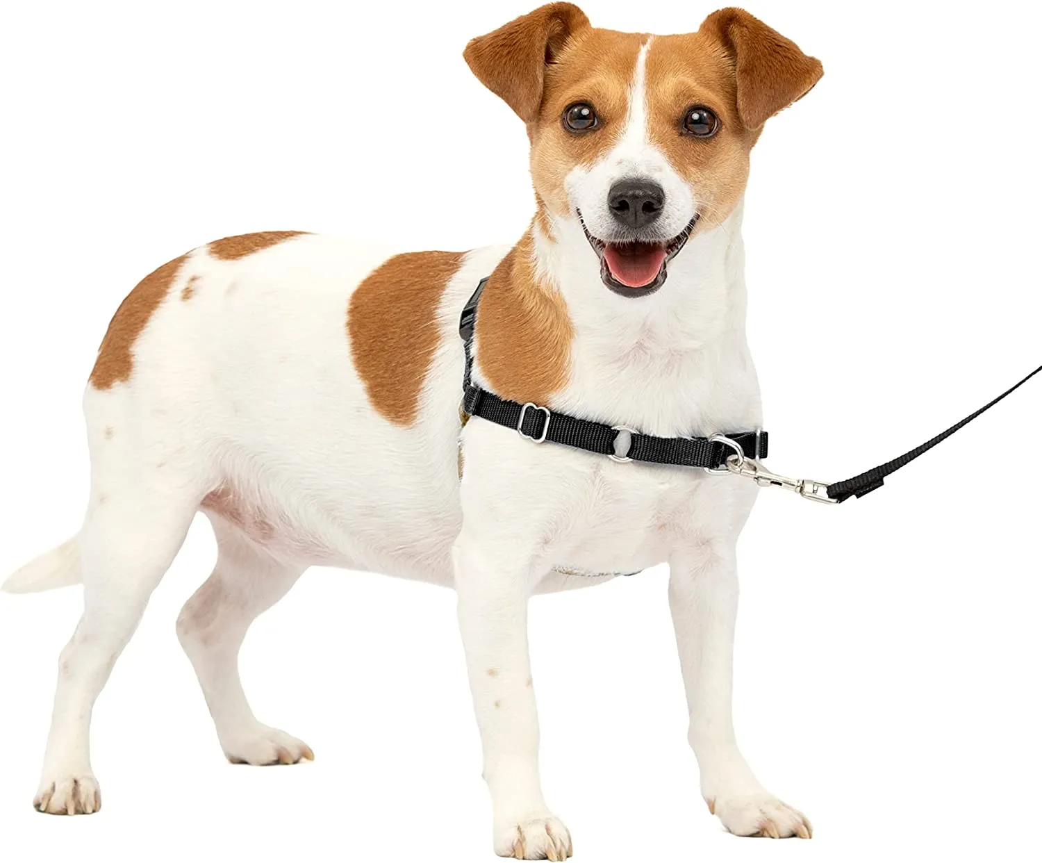 PetSafe - Easy Walk No Pull Harness for Dogs (Small)