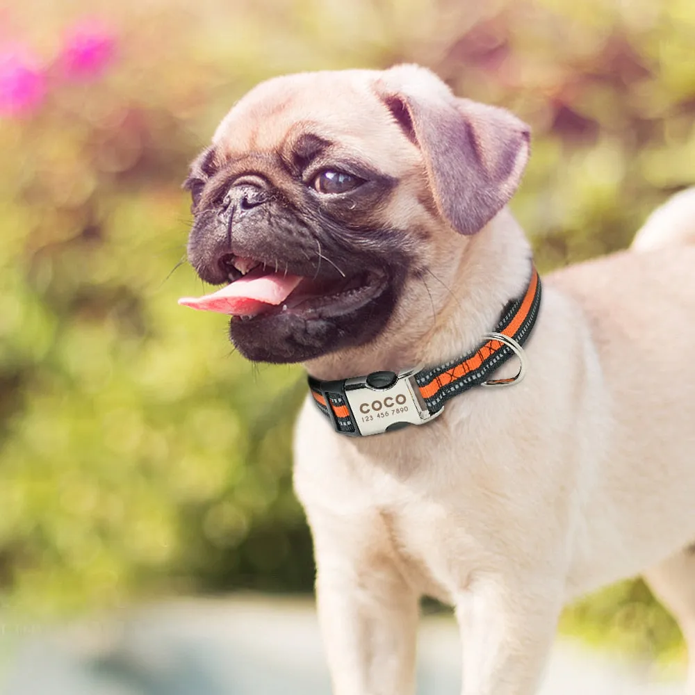 Reflective Personalized Custom Collar