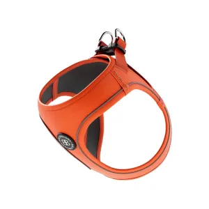 Step in Harness | XS-M Breeds - Orange