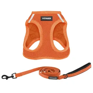 Step-In Mesh Harness & Leash Set for Cats