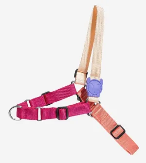 Zee.Dog Cinnamon Soft-Walk Dog Harness