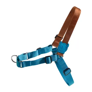 Zee.Dog Soft-Walk Harness Delta L