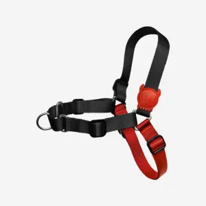 Zee.Dog Soft-Walk Harness Fatboy S